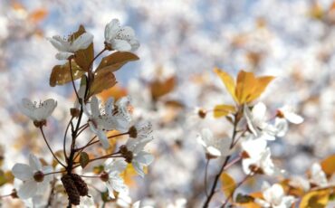 Atelier Acty Initiatives Isactys atelier de décembre recyclerie du guiers sortie activité atelier Isère pont de beauvoisin
