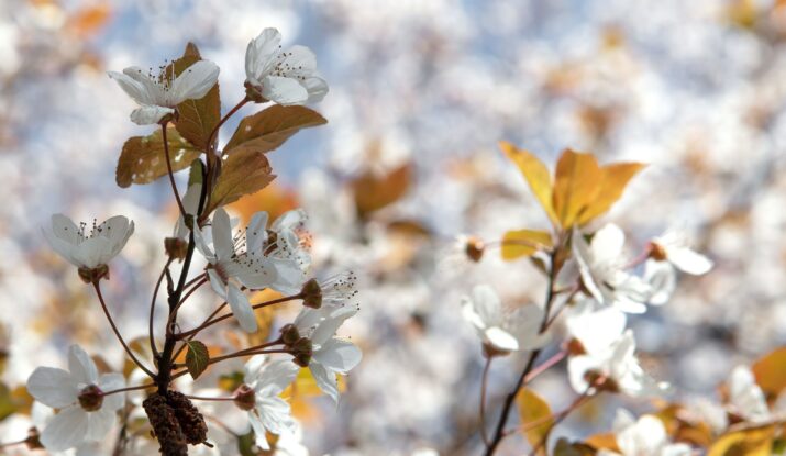 Atelier Acty Initiatives Isactys atelier de décembre recyclerie du guiers sortie activité atelier Isère pont de beauvoisin