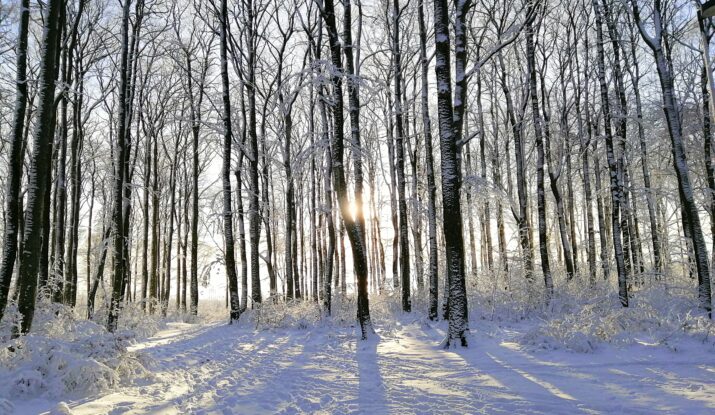 Atelier Acty Initiatives Isactys atelier de février recyclerie du guiers sortie activité atelier Isère pont de beauvoisin
