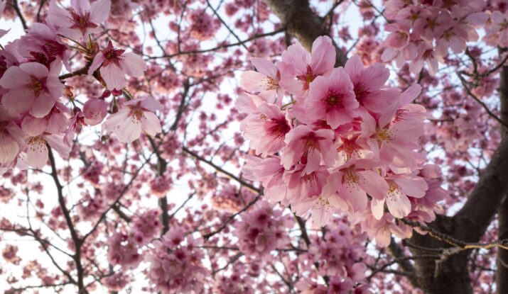 Atelier Acty Initiatives Isactys atelier d'avril recyclerie du guiers sortie activité atelier Isère pont de beauvoisin