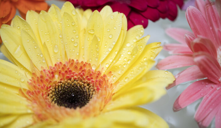 Atelier Acty Initiatives Isactys atelier de mai recyclerie du Guiers, sortie activité atelier Isère pont de Beauvoisin